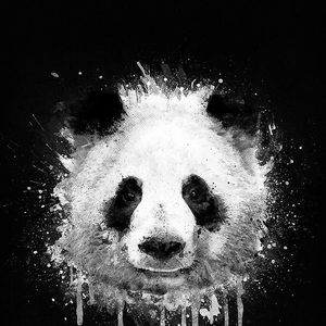 Meet your Posher, Idle